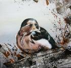 Barn Swallow Juvenile