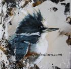 Belted Kingfisher