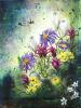 Wildflowers3