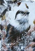 Gray Jay