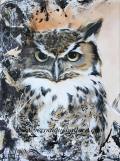 Great Horned Owl