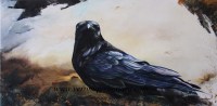 Raven