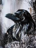 Raven