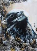 Raven