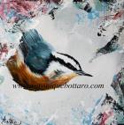 Red Breasted Nuthatch