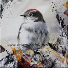 Ruby Crowned Kinglet