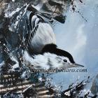 White Breasted Nuthatch