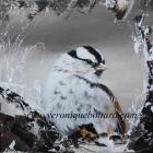 White-Crowned Sparrow